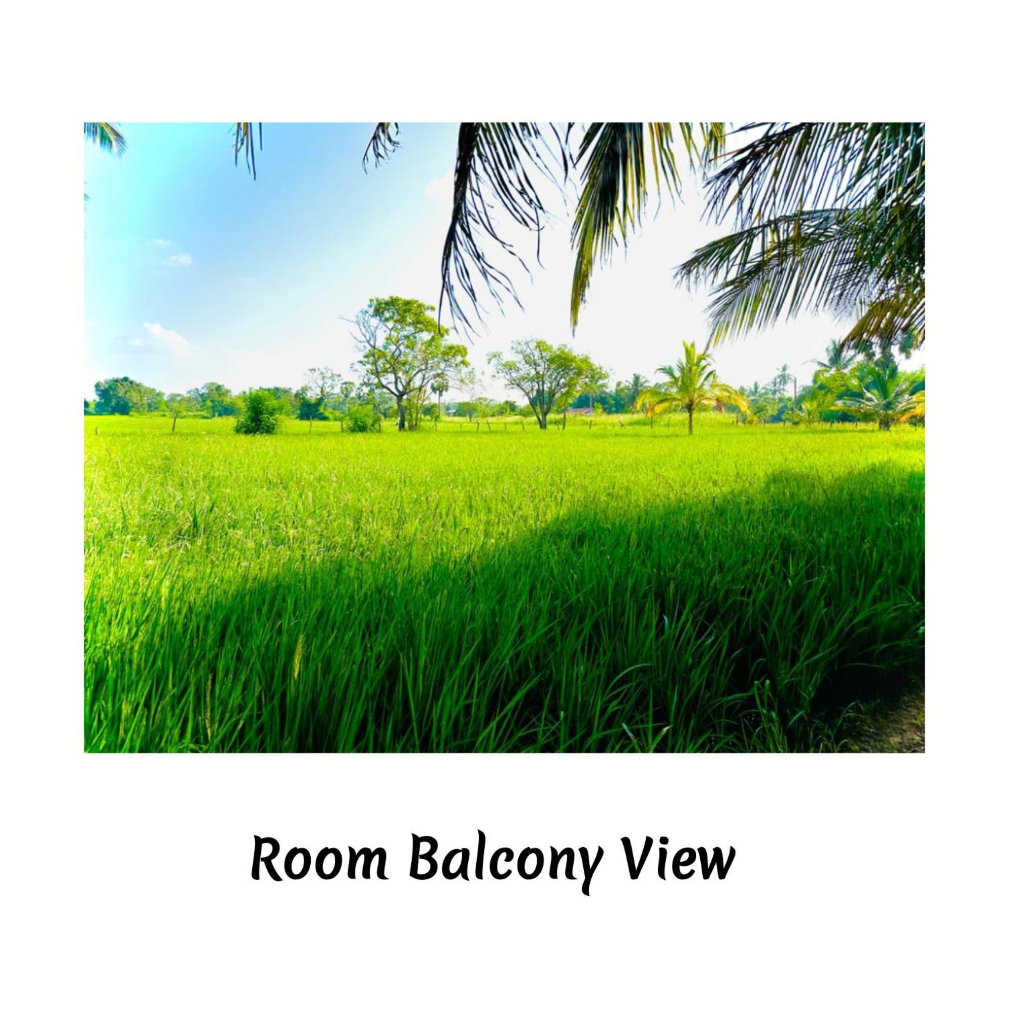 Green Sapphire Holiday Resort Wilpaththu Wilpattu Eksteriør billede