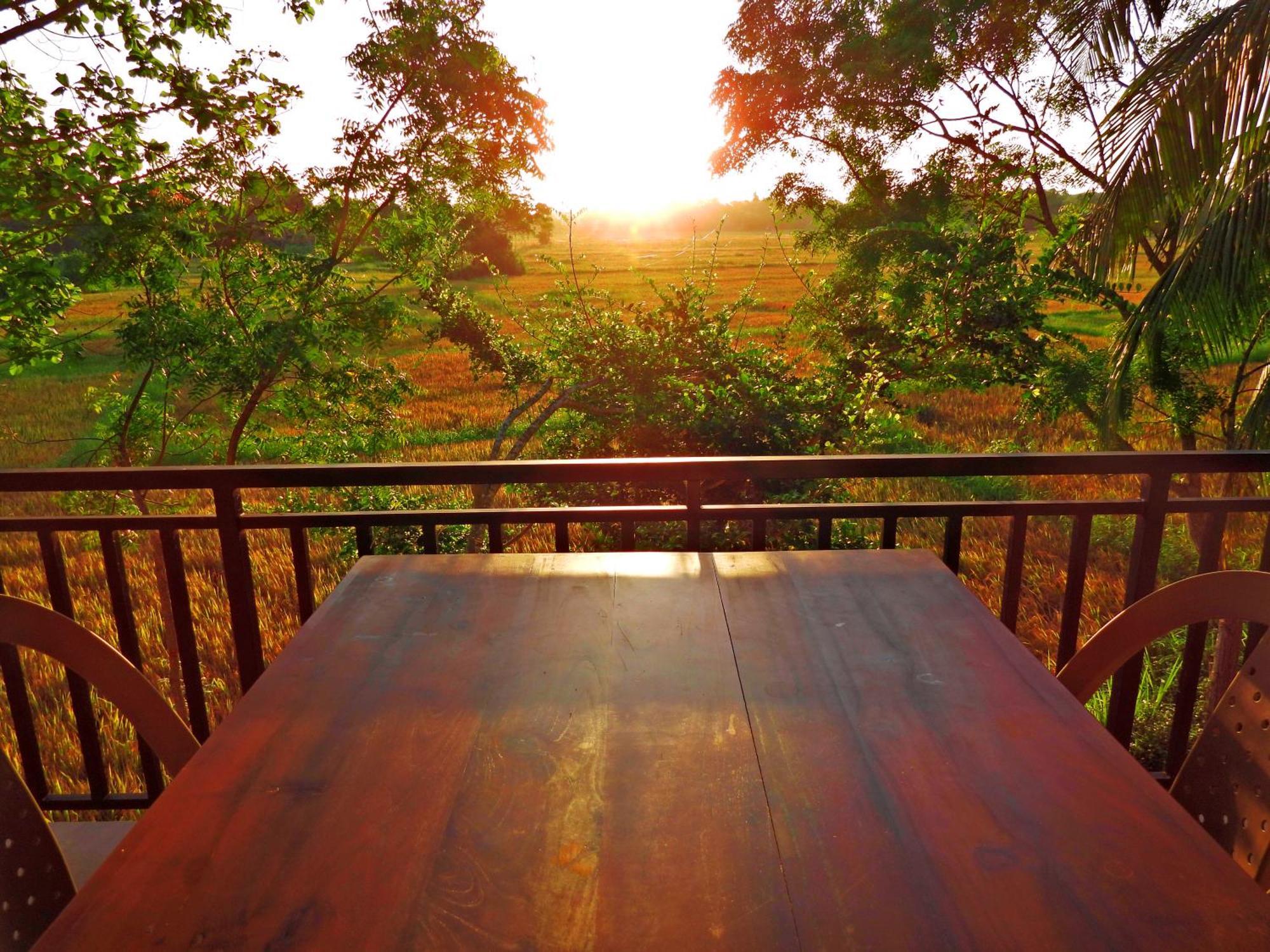 Green Sapphire Holiday Resort Wilpaththu Wilpattu Eksteriør billede